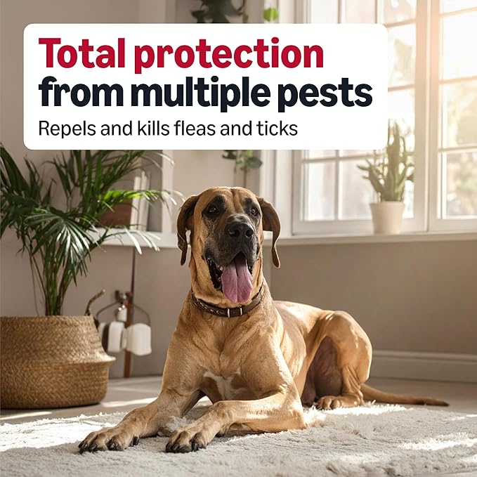 Amazon Basics Preventative Flea and Tick Topical Treatment for Dogs, X-Large (89-132 lbs), Fast Acting and Long Lasting, 3 Counts, Packaging May Vary