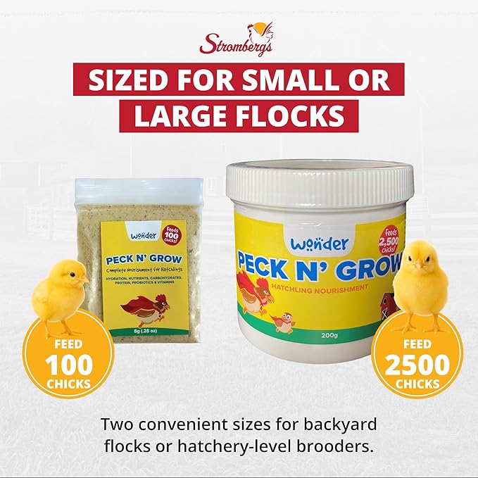 Stromberg's Peck n' Grow, Balanced Hatchling Nutrition Supplement with Probiotics and Essential Vitamins, Instinct-Promoting Chick Starter Formula for Strong Early Growth, 7.05 oz Pack for 2500 Chicks