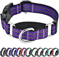 Hikiko Martingale Collar for Dogs Reflective Nylon Dog Collar with Quick Release Buckle Adjustable Training No Slip Dog Collar (Small, Purple)