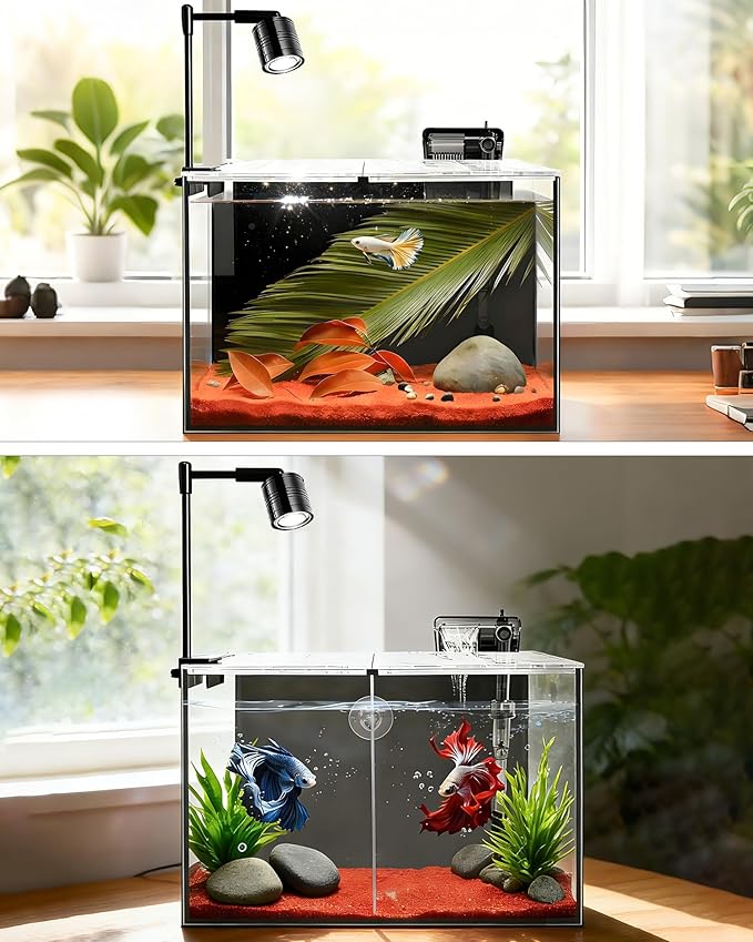 Fish Tank, 3 Gallon Ultra-Clear Glass Fish Aquarium, with Separator Plate for Betta, Fish Tank Starter kit with Filter and Led Light, Black