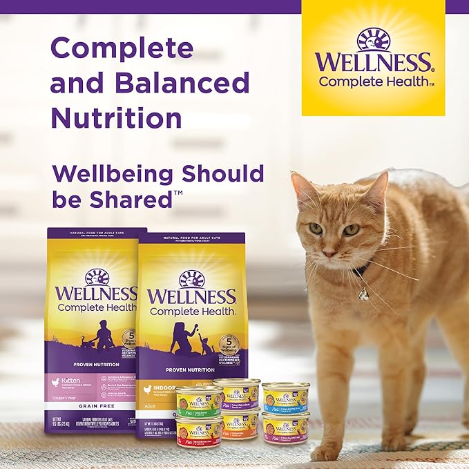 Wellness Complete Health Pate Adult Wet Cat Food, Natural, Protein-Rich, Grain Free, 5.5 Ounce, 24 Pack, (Beef & Chicken)