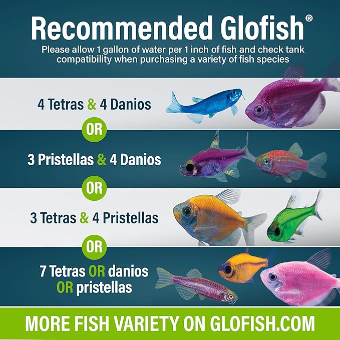 GloFish Aquarium Starter Kit, 6.6 Gallon Fish Tank, Includes Blue & White LED Lights, Tetra Whisper Bio-Bag Filter & Thermometer