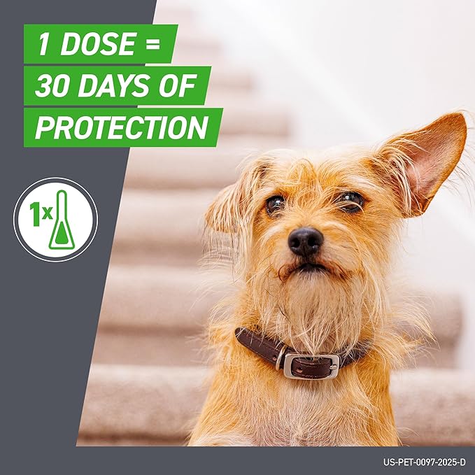 FRONTLINE Plus Flea and Tick Treatment for Small Dogs Upto 5 to 22 lbs. 6 Treatments