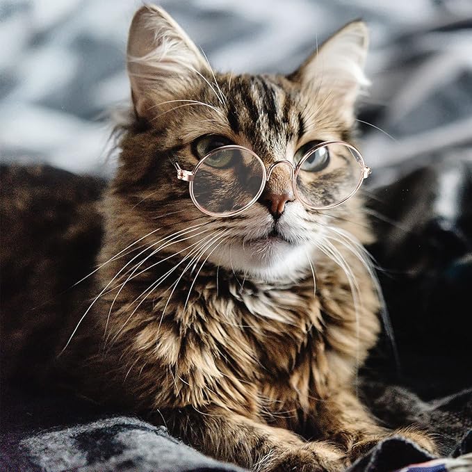 10 Pieces Cat Dog Sunglasses Funny Pet Glasses Round Metal Small Classic Retro Sunglasses Pet Hippie Cute Dog Cat Cosplay Party Costume Photo Props Cosplay Glasses(Transparent)