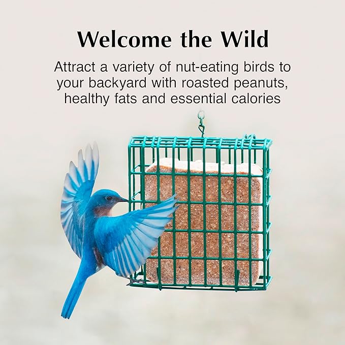 C&S Peanut Butter Delight No Melt Suet Dough, Suet Cakes for Wild Birds Including Wrens, Woodpeckers, Cardinals, Songbirds, Jays and More, 8 Pack