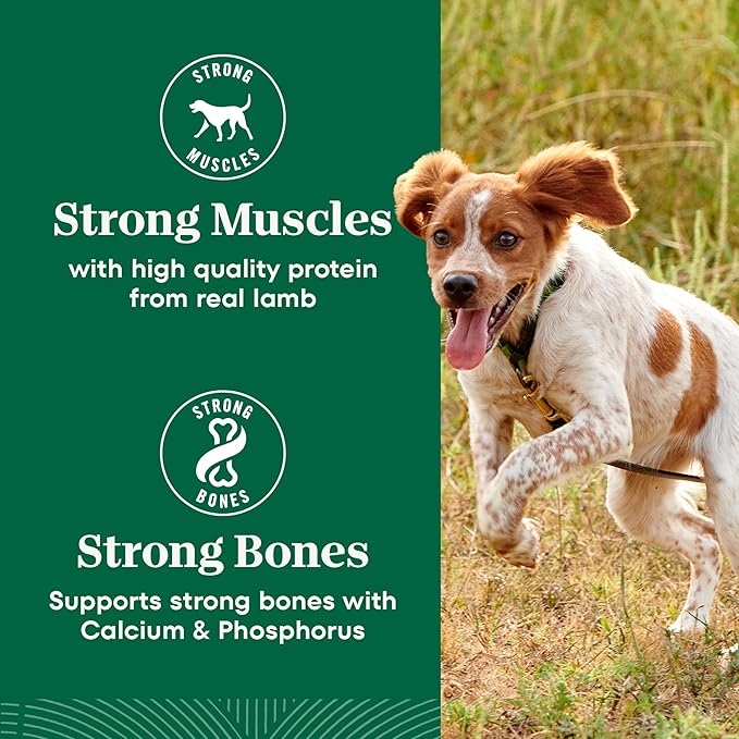Nutro Natural Choice Small Bites Dry Dog Food, Adult Dog Food Dry Lamb and Brown Rice Recipe, 12 lbs.