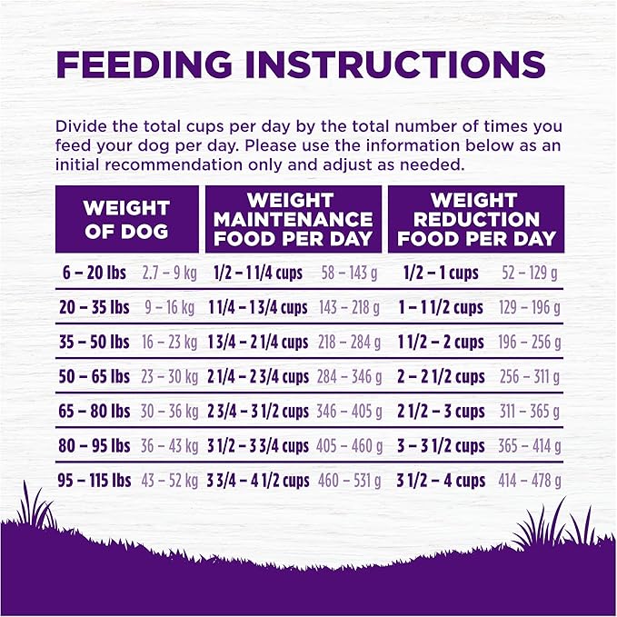 Wellness Complete Health Healthy Weight Adult Dry Dog Food, Wholesome Grain Kibble, Chicken and Peas Recipe, 13 lb Bag