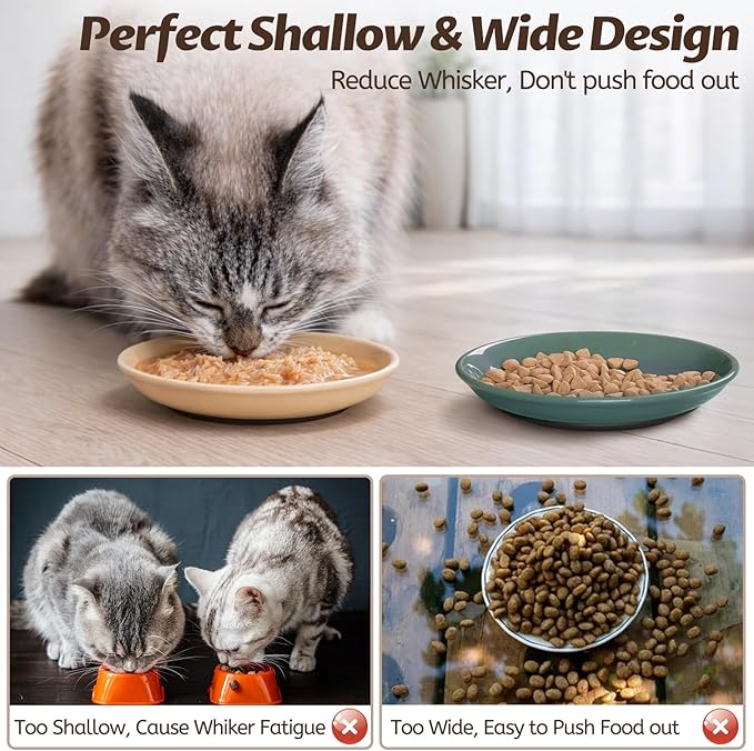 Colorful Cat Food Bowl,Non-Slip Silicone Bottom Cat Bowls for Indoor Cats,Anti Whisker Fatigue Cats Dishes Set,Shallow Wide Kitten Plates for Food and Water,4 Pack