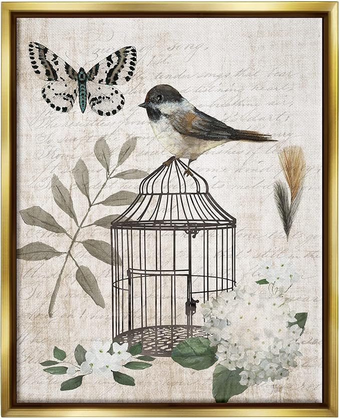 Stupell Industries Botanical Bird Cage Vintage Words Butterfly Motif Floating Framed Wall Art, Design By Nan