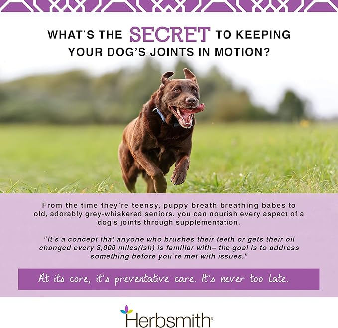 Herbsmith Sound Dog Viscosity – Advanced Joint Support for Dogs – Veterinarian Recommended Glucosamine for Dogs, Hyaluronic Acid, Chondroitin, MSM – Natural Arthritis Pain Relief – 120ct Large Chews