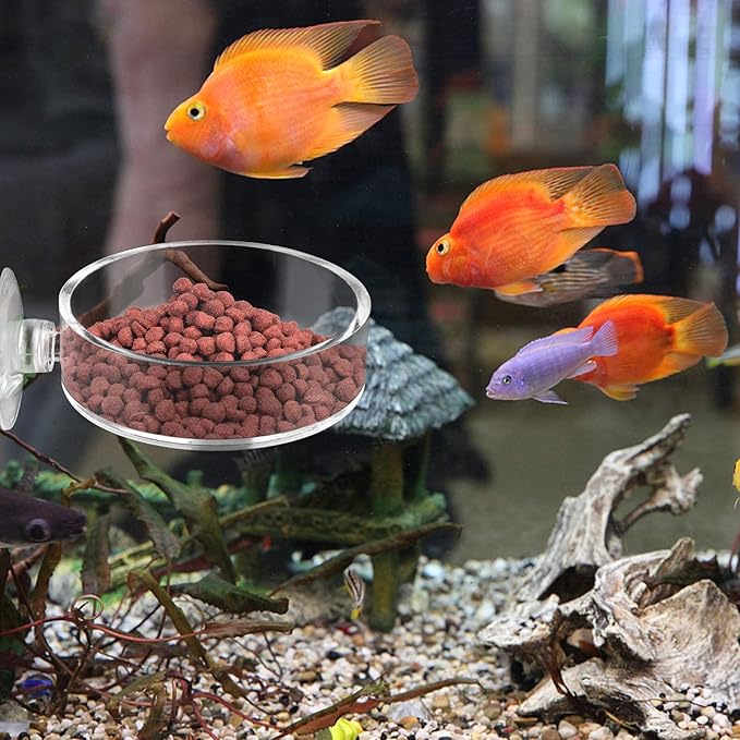 Aquarium Shrimp Feeder Dish Round Fish Tank Feeder Bowls Clear Aquarium Feeding Cup with Suction Cup