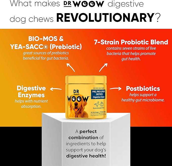 Probiotics Supplements for Dogs Soft Chews (90 CT) – Digestive Support + Gut Balance & Healthy Stool Support – Probiotics + Digestive Enzymes – Duck & Pumpkin Flavor – Made in USA