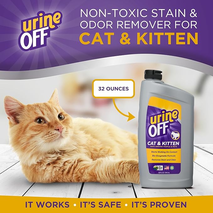 Urine Off Kitten & Cat Pet Stain Remover | Freshly Scented Carpet Cleaner | Bio Enzymatic Stain & Urine Odor Eliminator | Pet Safe Cleaner | 32 oz.