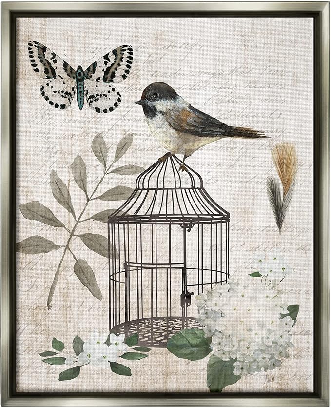 Stupell Industries Botanical Bird Cage Vintage Words Butterfly Motif Floating Framed Wall Art, Design By Nan