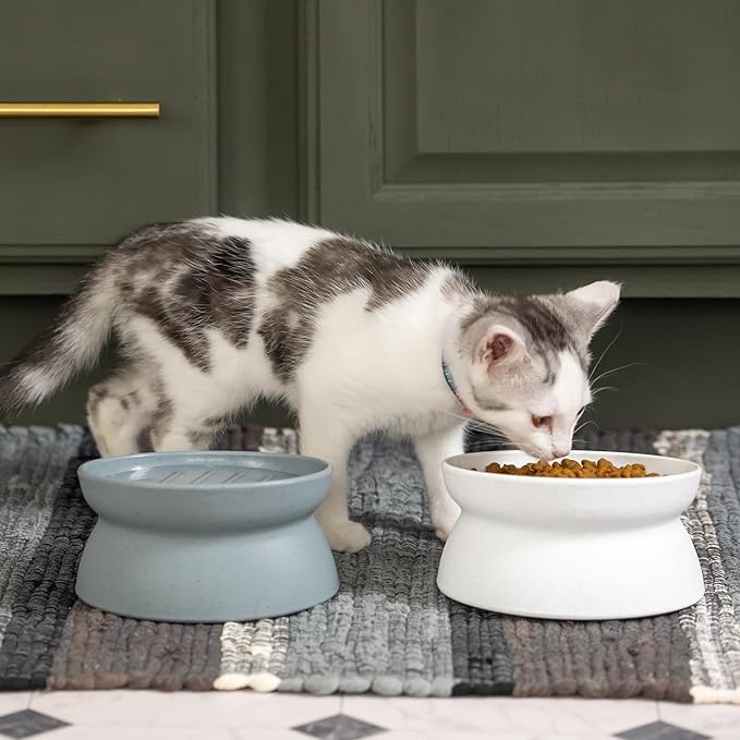 Kitty City Elevated Slow Feeder Cat Bowls (Set of 2), Whisker-Friendly Raised Cat Food Dishes with Ridges, Helps Reduce Fast Eating & Digestion Issues, Dishwasher Safe, 10.8 oz – White & Gray