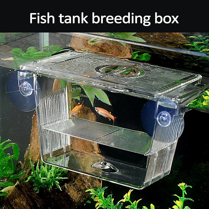 Fish Breeding Box - 20.5*9.5*9.9cm Acrylic Hatchery Incubator Tank Fish Tank Divider | Fishes Tanks Incubator Breeding Box | Aquarium Breeder BoxFish Acclimation Boxes Nursery For Injured Hatchery Inc