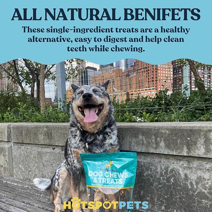 hotspot pets Beef Tendon Chews for Dogs (10 Pack) - Made in USA - 8 Inch All Natural, Free-Range, Grass-Fed Premium USDA Gambrol Beef Tendon Stick Treats, Great for Joint Health
