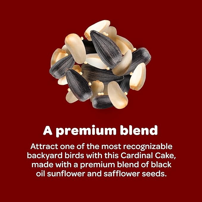 Kaytee Cardinal Seed Cake, Wild Bird Food, 1.85 Pounds, 4 Count