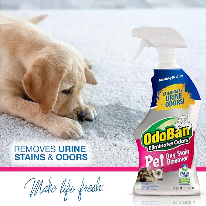 OdoBan Pet Solutions Oxy Stain Remover, Pet Stain Eliminator, Made in the USA, 12-Pack, 32 Ounce Spray Each