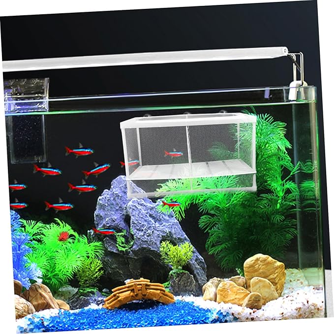 MERRYHAPY 2pcs Aquarium Breeding Isolation Box Multifunctional Fish Tank Incubator with Durable Mesh Protects Fish from Predators Observation Design
