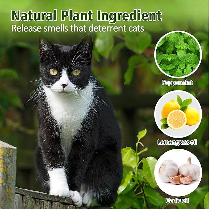 12 Pack Cat Deterrent Outdoor Indoor, Natural Deterrent for Yard, Keep Cat Away