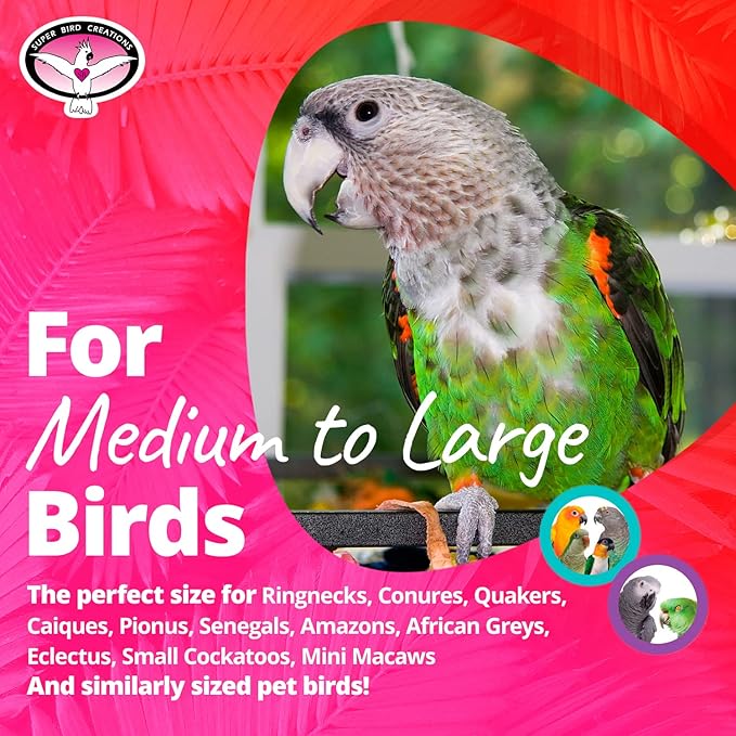 Super Bird Creations SB628 Tape Dispenser Bird Toy - Cardboard Bagel with Machine Paper, Chewable & Shredding Components, Sensory Bell, African Greys Parrots Small Cockatoos, Large Bird Size 14"x5"