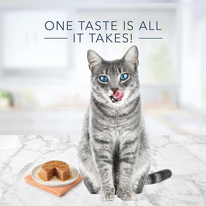 Blue Buffalo Tastefuls Natural Pate Wet Cat Food,Chicken Entrée 3-oz cans,(Pack of 48)