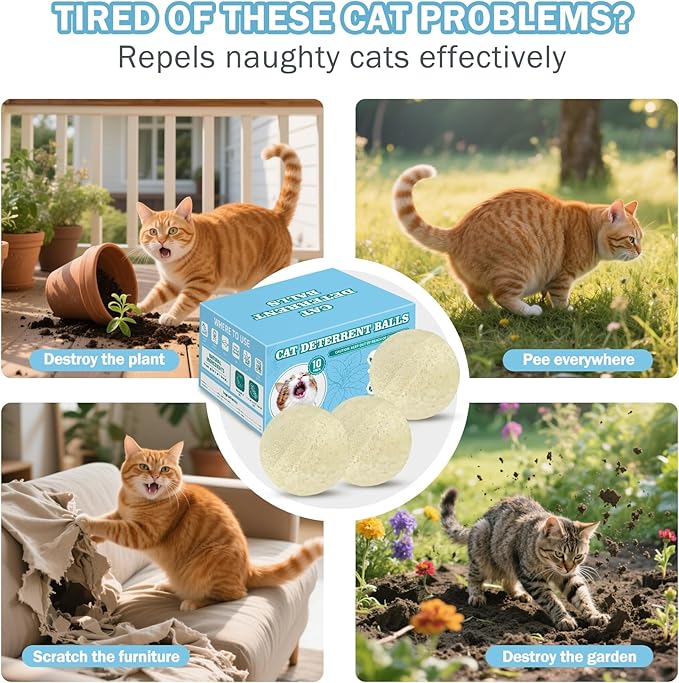 10Pack Cat Repellent Outdoor & Indoor: Natural Cat Deterrent Essential Oils Ball-Natural Extract Essential Oil, Anti Cat Scratch for Furniture, Keep Cats Off Yard Garden Lawn Plants Trash Can (10Pack)
