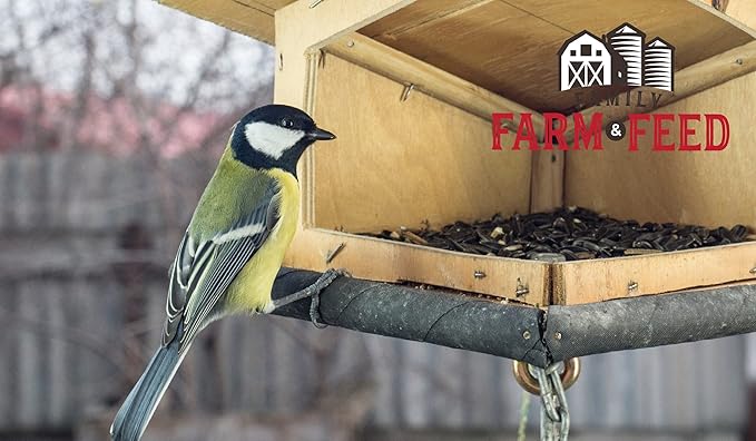 | Four Seasons | Striped Sunflower Seed | Wild Bird Food | Backyard Songbird | 3 Pounds