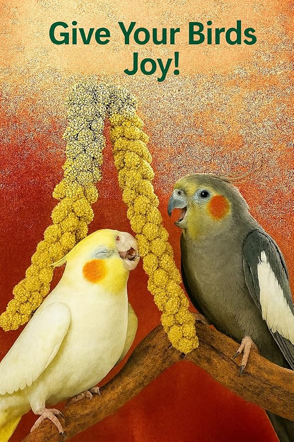 Nemeth Farms 25lbs Premium Spray Millet for Exotic Birds – Grown in The USA – 100% Natural & Non‑GMO Bird Treat – Sun‑Dried Millet for Parakeets, Conures, Cockatiels, Parrots & Budgies
