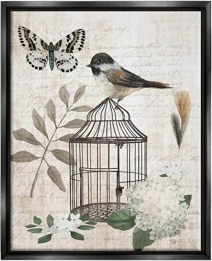 Stupell Industries Botanical Bird Cage Vintage Words Butterfly Motif Floating Framed Wall Art, Design By Nan