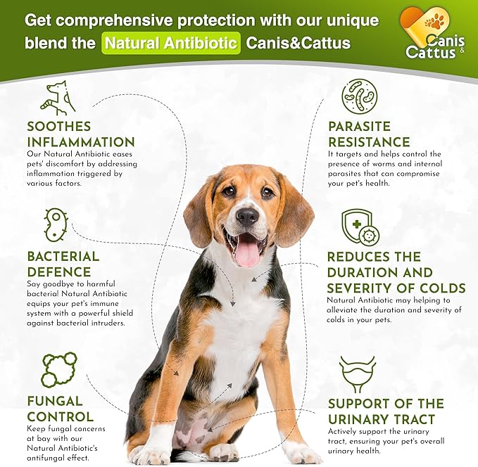 Canis&Cattus Natural Antibiotic for Dogs & Cats – Liquid Pets Antibiotic – Supports Immunity, Reduces Inflammation, Controls Parasites, and Boosts Urinary Health – 2 oz