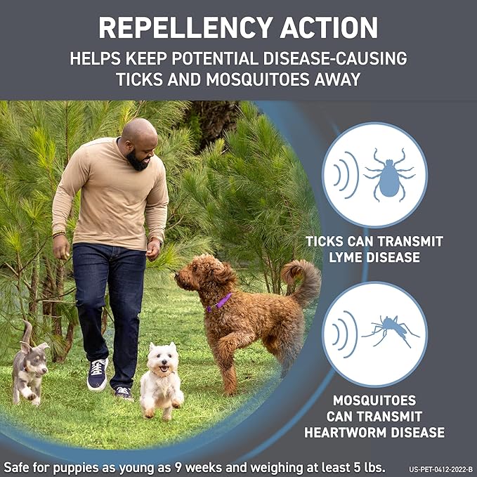 FRONTLINE Shield Flea & Tick Treatment for Small Dogs 11-20 lbs. Count of 6