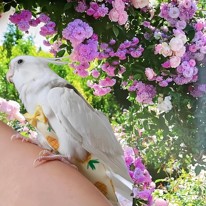 2 Pcs Bird Diapers Bird Harness Flight Suits Diapers with 80in Flying Leash Reusable Parrot Nappy with Waterproof Inner Layer for Cockatiel Budgie Conure Parakeet Lovebird-Pineapple&Peach