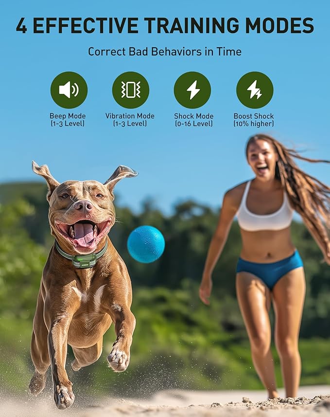 Jugbow Dog Shock Collar - 4200FT Dog Training Collar with Remote for 10-120lbs Small Medium Large Dogs, IPX8 Waterproof E Collar with 4 Training Modes, Security Lock, Rechargeable Shock Collar(61CGN)