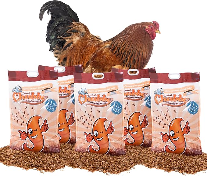 Chubby Dried Mealworms | 55 lbs | High-Protein Non-GMO Treats for Chickens, Ducks, Wild Birds & Backyard Pets