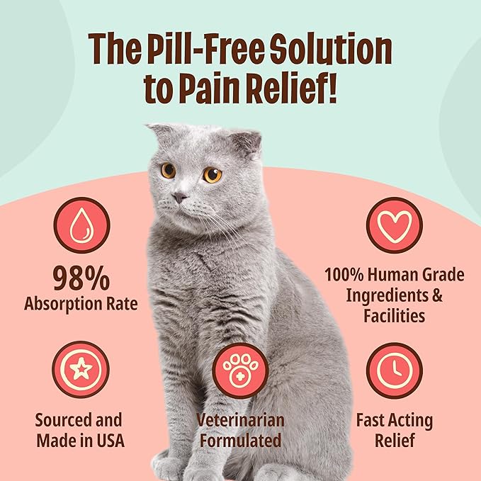 Licks Pill-Free Cat Ache Aid - Turmeric and Ginger Cat Supplements - Cat Health Supplies & Pain Relief - Gel Packets - 10 Use