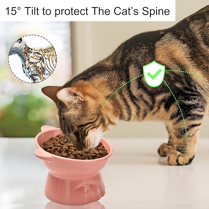 Elevated Cat Food Bowl,9 Oz Ceramic Raised and Tilted Water Bowl,Anti Vomiting and Protect Pets Spines Dishes for Fat Faced Cat, Indoor Cats,Kitten,Small Dog (Pink)