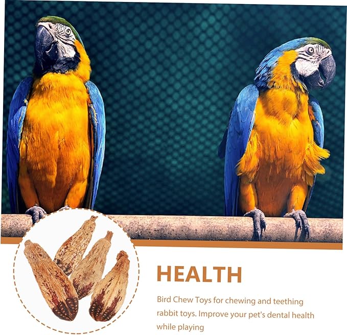 Totority Natural Fruit Material Parrot Beak Fruit Decor Bird Chew Toy Parrot Toys Treats for Cage