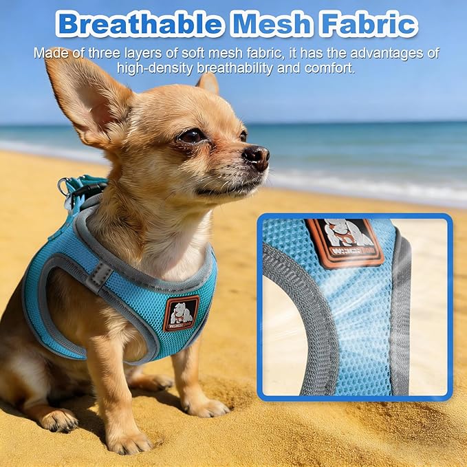 Dog Harness Medium Sized Dogs, Puppy Harness and Leash Set for Training, Running, Walking, Suitable for Small and Medium Dog Vest, Blue, S