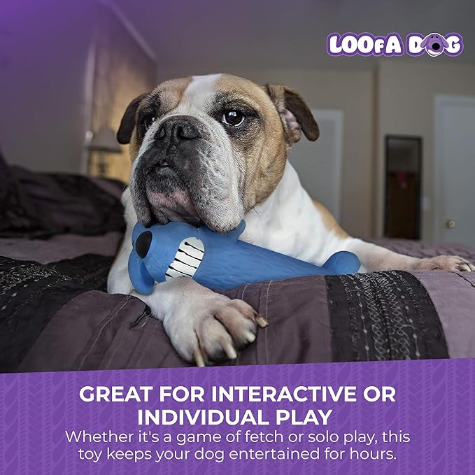 Multipet Original Loofa Latex Dog Toy - Squeaky Toy for All Dogs - Easy-to-Clean Squeaky Toys - Latex Dog Toys for Playing (1 Count, 6”, Random Color Surprise)