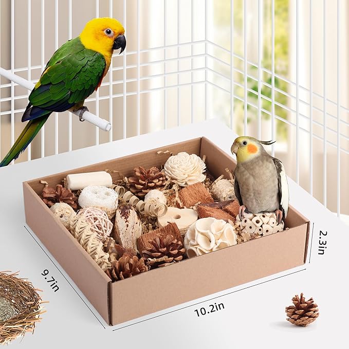 Bird Toys for Parakeets, Natural Cockatiel Foraging Toy Box for Parrots, Conures, Budgies, Macaws, Lovebirds, and Other Small to Medium Birds