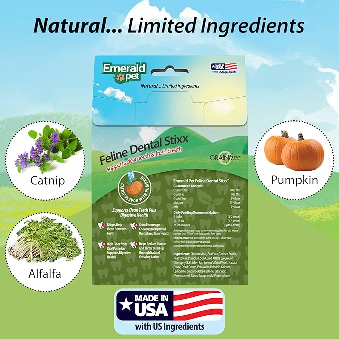 Emerald Pet Feline Dental Stixx — Tasty and Crunchy Cat Sticks with Pumpkin for Digestive Health — Natural Grain Free Treats for Clean Cat Teeth and Fresh Breath — Catnip, 3.6 oz
