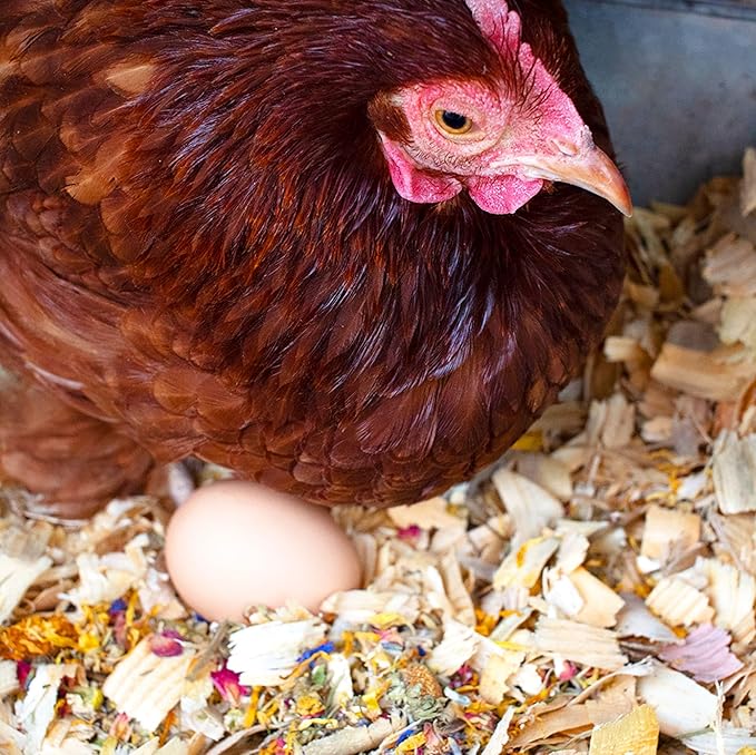 Pampered Chicken Mama Best Eggs Ever! Nesting Herbs for Chickens (4 Pounds) for Chicken Nesting Boxes Calcium Supplement for Chickens | Chicken Feed Supplies, Hen Treats for Coops (4 Bags)