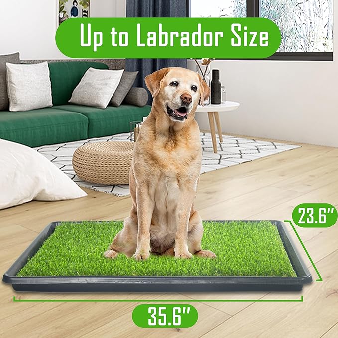Reusable Dog Loo System with Artificial Grass Turf&Pee Pads&Tray, for Puppy Potty Training is Portable&Easy to Clean,35x23in Large Dog Litter Box Toilet for Indoor/Outdoor use