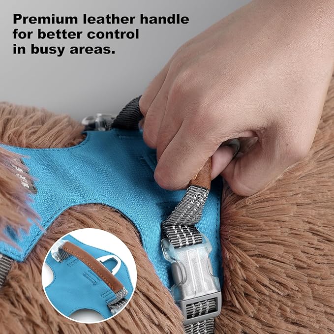 No Pull Dog Harness – Adjustable Reflective Nylon Vest for Small Medium Large Dogs, Escape Proof Training Harness with Leather Control Handle, Lightweight Aluminum Hardware (Cyan, M)