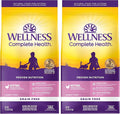Wellness Natural Pet Food Complete Health Natural Grain Free Deboned Chicken & Chicken Meal Dry Kitten Food, 5.5 Pound Bag (Pack of 2)