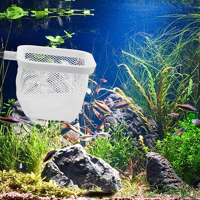 Totority Fish Tank Breeder Net with Suction Cups Durable Isolation Box for Shrimp and Betta Fish Easy Installation and Cleaning Spawning and Protection of Newborns