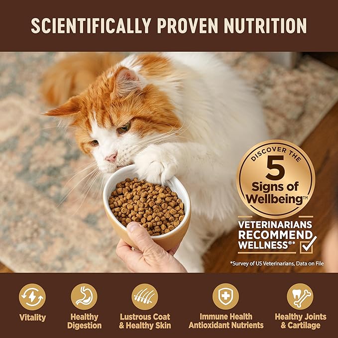Wellness CORE Adult Dry Cat Food for Indoor & Outdoor Cats, Grain-Free, Natural, Turkey, Turkey Meal and Duck (11 Pound Bag)