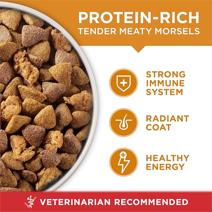 Purina ONE Chicken and Rice Formula Dry Dog Food - 31.1 lb. Bag